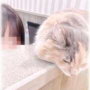 ヒメ日記 2025/09/16 13:14 投稿 日向～ひなた～ ドMバスターズ 京都店