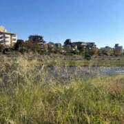 ヒメ日記 2025/11/09 10:46 投稿 日向～ひなた～ ドMバスターズ 京都店