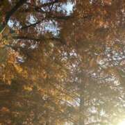 日向～ひなた～ ごめんなさい！ ドMバスターズ 京都店