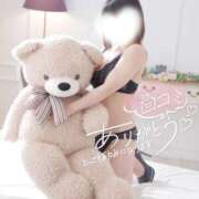 ヒメ日記 2026/03/08 08:04 投稿 日向～ひなた～ ドMバスターズ 京都店