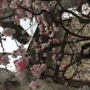 ヒメ日記 2026/03/03 12:20 投稿 まゆこ 完熟ばなな 横浜