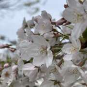 ヒメ日記 2026/03/27 12:25 投稿 まゆこ 完熟ばなな川崎