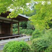 ヒメ日記 2026/04/11 09:38 投稿 まゆこ 完熟ばなな川崎