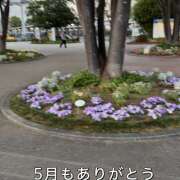 まゆこ 横浜店 まゆこ 完熟ばなな川崎
