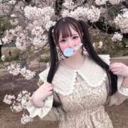 ヒメ日記 2026/04/08 12:36 投稿 まりん ジャパンクラブ富士