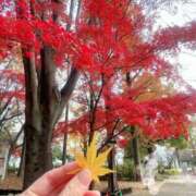 ヒメ日記 2025/12/02 12:45 投稿 さおり 奥鉄オクテツ東京店（デリヘル市場）