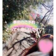 ヒメ日記 2026/01/13 07:15 投稿 さおり 奥鉄オクテツ東京店（デリヘル市場）