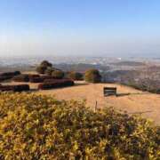 ヒメ日記 2026/01/17 19:59 投稿 うた Ecup高身長美女！ ウエスト・コム