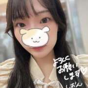 ヒメ日記 2025/08/17 08:35 投稿 しおん チューリップ姫路店