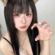 ヒメ日記 2025/11/03 19:15 投稿 うさ アニバーサリー