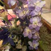 ヒメ日記 2025/07/29 08:15 投稿 うの ピーチハニー