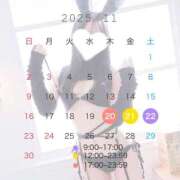 ヒメ日記 2025/11/15 11:30 投稿 レン ドMなバニーちゃん水戸店