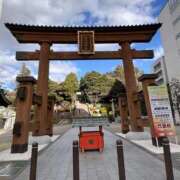 ヒメ日記 2026/01/09 19:08 投稿 蛍（ほたる） 男爵