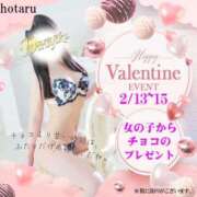 ヒメ日記 2026/02/11 01:33 投稿 蛍（ほたる） 男爵