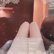 蛍（ほたる） 感謝の気持ち🐱 男爵