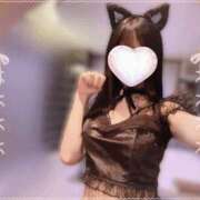 蛍（ほたる） セクシーにゃんこ🐈‍⬛ 男爵