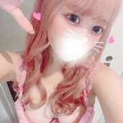 ヒメ日記 2025/07/27 17:44 投稿 ここ 今こそ!にゃんにゃん学園