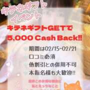 ヒメ日記 2026/02/15 12:04 投稿 東雲ゆい にゃんだ☆full☆MIX（にゃんだふるみっくす）