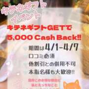 ヒメ日記 2026/03/29 20:01 投稿 東雲ゆい にゃんだ☆full☆MIX（にゃんだふるみっくす）