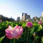 ヒメ日記 2025/07/31 17:36 投稿 さくや ラブ・アンド・ラブ