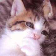 ヒメ日記 2025/08/13 19:09 投稿 さくや ラブ・アンド・ラブ