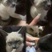 ヒメ日記 2025/08/14 22:49 投稿 ゆず マリアージュ大宮