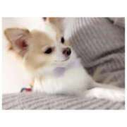 ヒメ日記 2025/12/13 18:07 投稿 ゆず ダンシングおっぱいTEAM爆