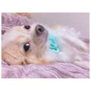 ヒメ日記 2026/01/21 11:07 投稿 ゆず ダンシングおっぱいTEAM爆