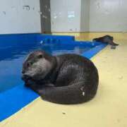 ヒメ日記 2025/08/09 15:17 投稿 うい すごいエステ 名古屋店