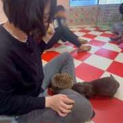 ヒメ日記 2025/12/11 23:45 投稿 うい すごいエステ 名古屋店