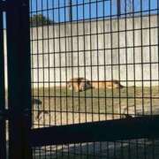 ヒメ日記 2026/01/07 14:05 投稿 うい すごいエステ 名古屋店