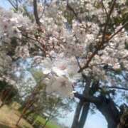 ヒメ日記 2026/04/03 14:35 投稿 はづき MORE