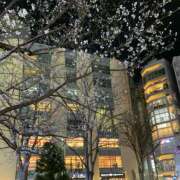 ヒメ日記 2026/03/18 21:49 投稿 マミ Club 妻