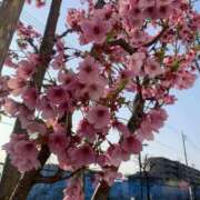 ヒメ日記 2026/03/29 21:04 投稿 マミ Club 妻