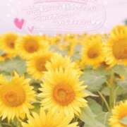 ヒメ日記 2025/07/29 11:45 投稿 西（にし） 熟女の風俗最終章 大宮店