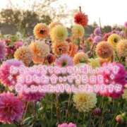 ヒメ日記 2025/10/07 18:15 投稿 西（にし） 熟女の風俗最終章 大宮店