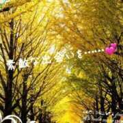 ヒメ日記 2025/11/18 09:45 投稿 西（にし） 熟女の風俗最終章 大宮店