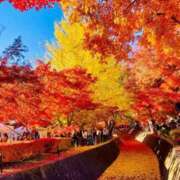 ヒメ日記 2025/11/24 23:35 投稿 西（にし） 熟女の風俗最終章 大宮店