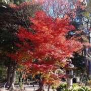 西（にし） 今週も火曜日のみの出勤です 熟女の風俗最終章 大宮店