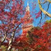 ヒメ日記 2025/12/08 20:35 投稿 西（にし） 熟女の風俗最終章 大宮店