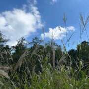 ヒメ日記 2025/08/31 16:16 投稿 るあな One More 奥様　西船橋店