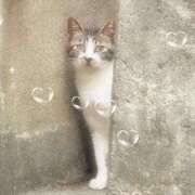 ヒメ日記 2025/09/07 16:04 投稿 るあな One More 奥様　西船橋店