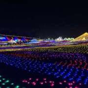 ヒメ日記 2025/12/15 20:30 投稿 るあな One More 奥様　西船橋店