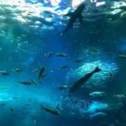 ヒメ日記 2025/07/27 20:05 投稿 松本 熟女の風俗最終章 横浜本店