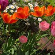 ヒメ日記 2025/07/31 18:05 投稿 松本 熟女の風俗最終章 横浜本店