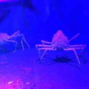 ヒメ日記 2025/08/18 18:24 投稿 松本 熟女の風俗最終章 横浜本店