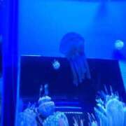 ヒメ日記 2025/08/27 17:55 投稿 松本 熟女の風俗最終章 横浜本店