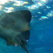 ヒメ日記 2025/09/01 18:54 投稿 松本 熟女の風俗最終章 横浜本店