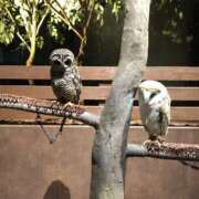 ヒメ日記 2025/09/03 16:02 投稿 松本 熟女の風俗最終章 横浜本店