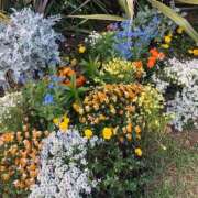 ヒメ日記 2025/09/05 20:36 投稿 松本 熟女の風俗最終章 横浜本店